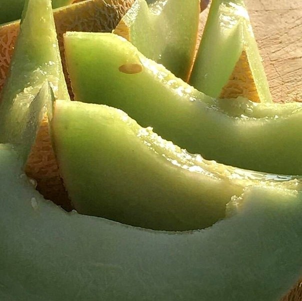lenechkas's tweet photo. #Aesthetics 
🍈♥️ https://t.co/Qq7xngu6uS
