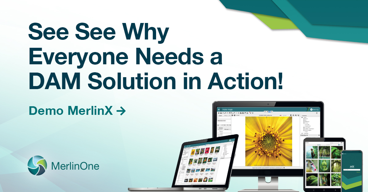 Let us show you how MerlinX can work for you. Speed up your workflow. Protect your assets. Save money reusing existing content. Request a demo of our DAM system today: hubs.ly/H0T90y_0