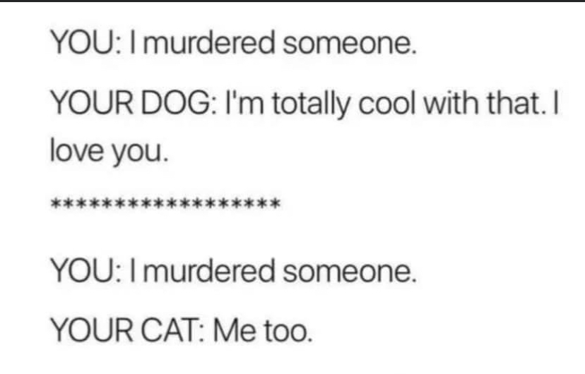 VetGirlOnTheRun's tweet photo. Bawahahahaha! #cats #felines
#vettech #vetmed #veterinary #vetgirl #vettechmemes #vetmedlife #vettechlife #vettechhumor #repost https://t.co/mx4Ty7T4Hd
