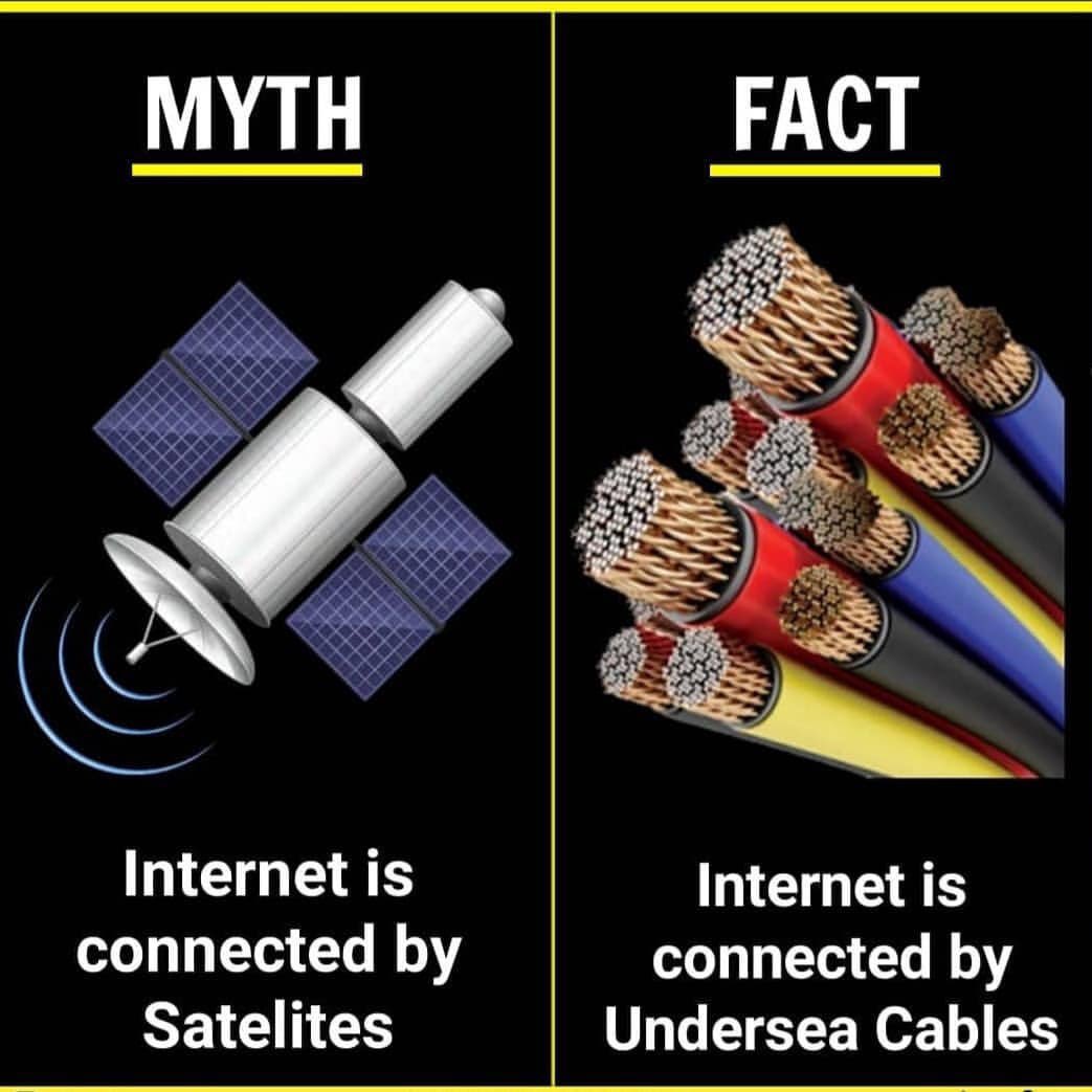 mythsvssfact's tweet image. 