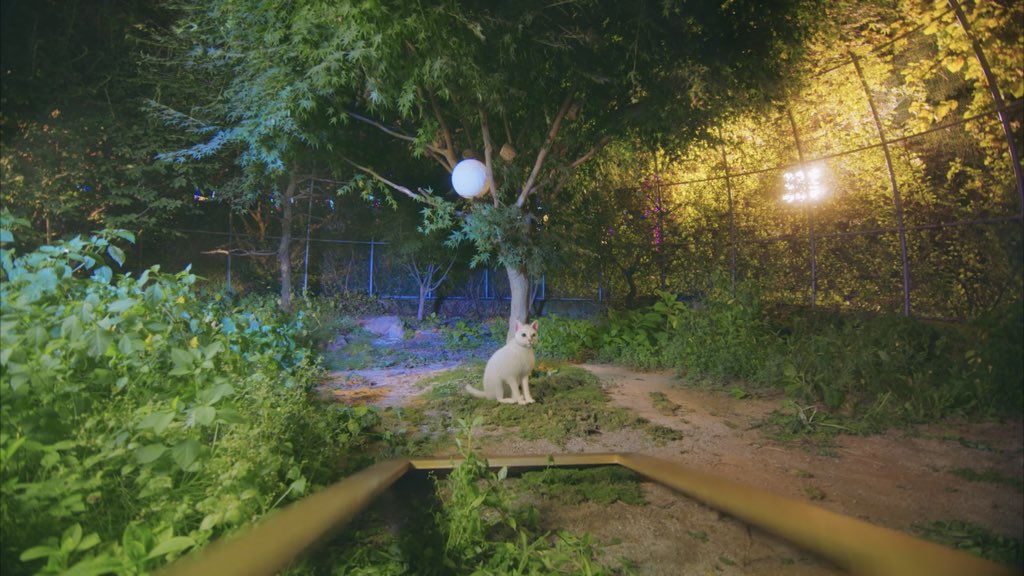 จอยก็เป็นแมว??🤔

#QUEENS_JOY #JOY #RedVelvet <a href="/RVsmtown/">Red Velvet</a>