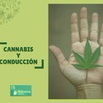 Image for the Tweet beginning: Conduccion y #cannabis, efectos del