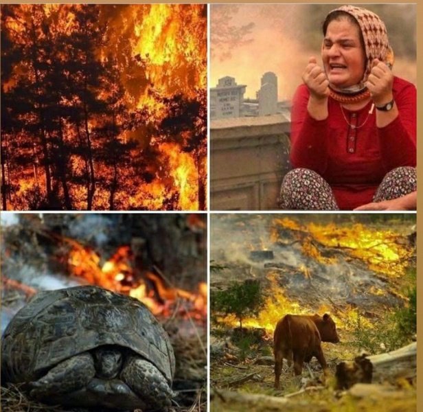 Geçmiş olsun of offf....
#Manavgat 
#bodrum 
#Osmaniye 
#marmaris 
#Kayseri 
#Kocaeli 
#kutahya 
#Mersin 
#Ankara