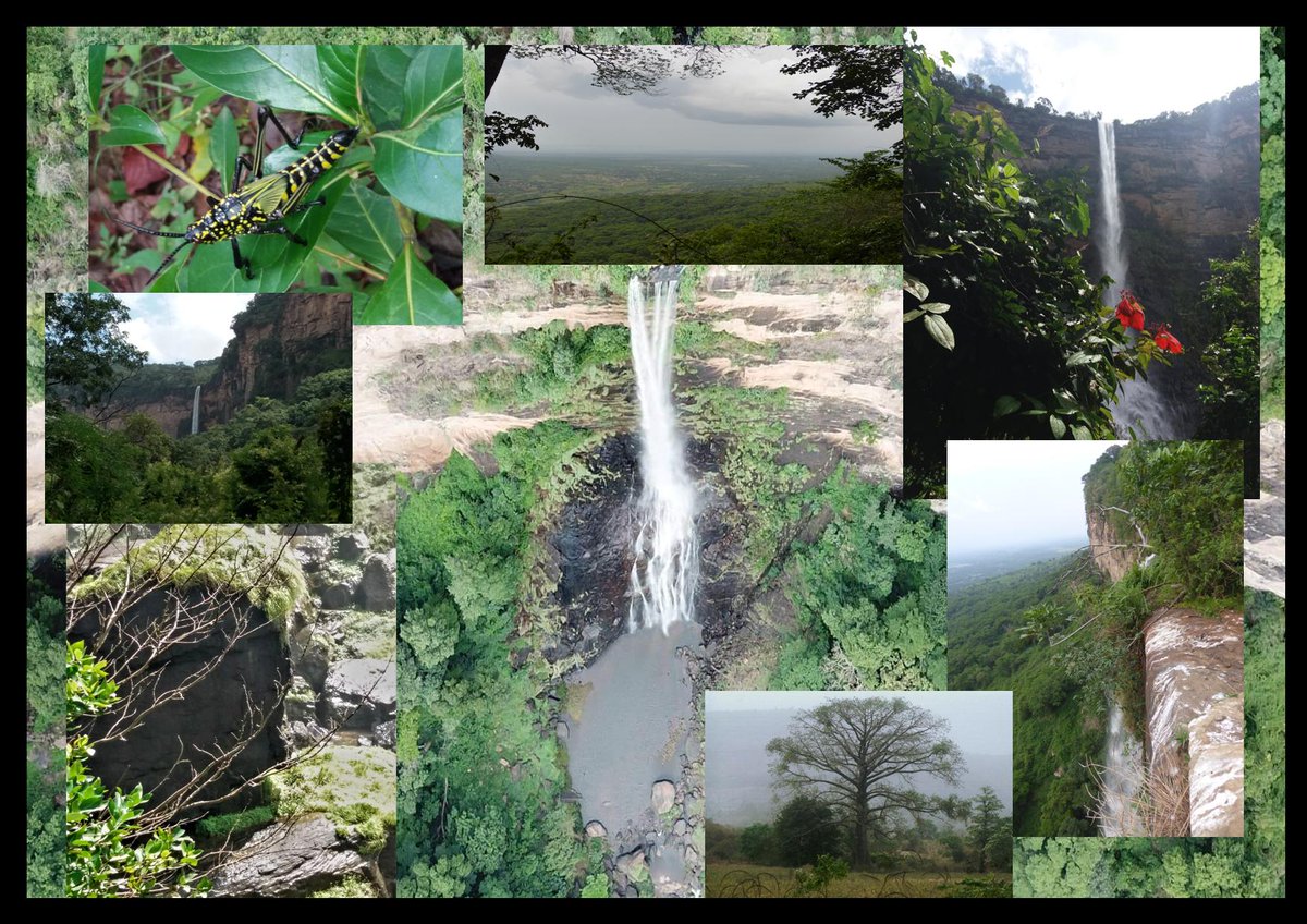 KotoMamadou's tweet photo. Pêle-mêle autour de la chute de #Ditinn, #FoutaDjalon (#Guinée) https://t.co/2ZxpSLtoyh