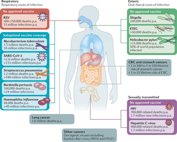 gerdosi's tweet photo. “the induction of adaptive immunity at mucosal sites, involving secretory antibody responses and tissue-resident T cells, has the capacity to prevent an infection from becoming established in the first place”

Mucosal vaccines — fortifying the frontiers
https://t.co/eGQtU7LdYM https://t.co/WFrSPed6QR