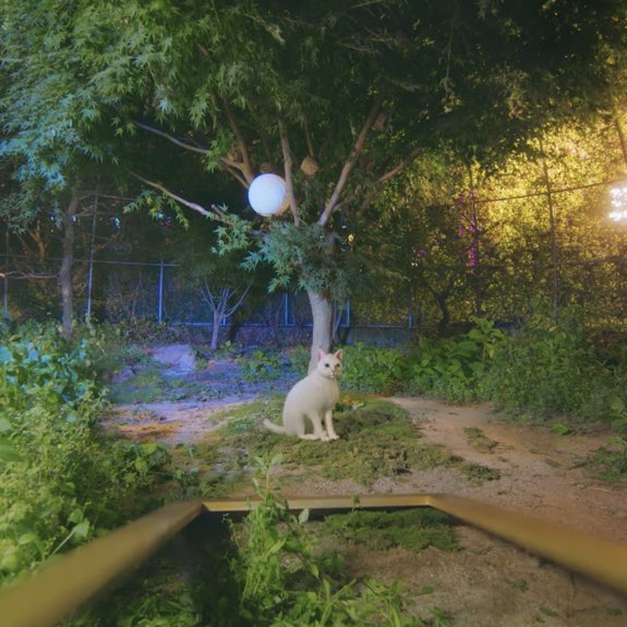 ลัฟวี่ว่าใครเป็นแมวตัวจริงกันคะ??🐱

#QUEENS_JOY #QUEENS_IRENE #JOY #IRENE #RedVelvet <a href="/RVsmtown/">Red Velvet</a>