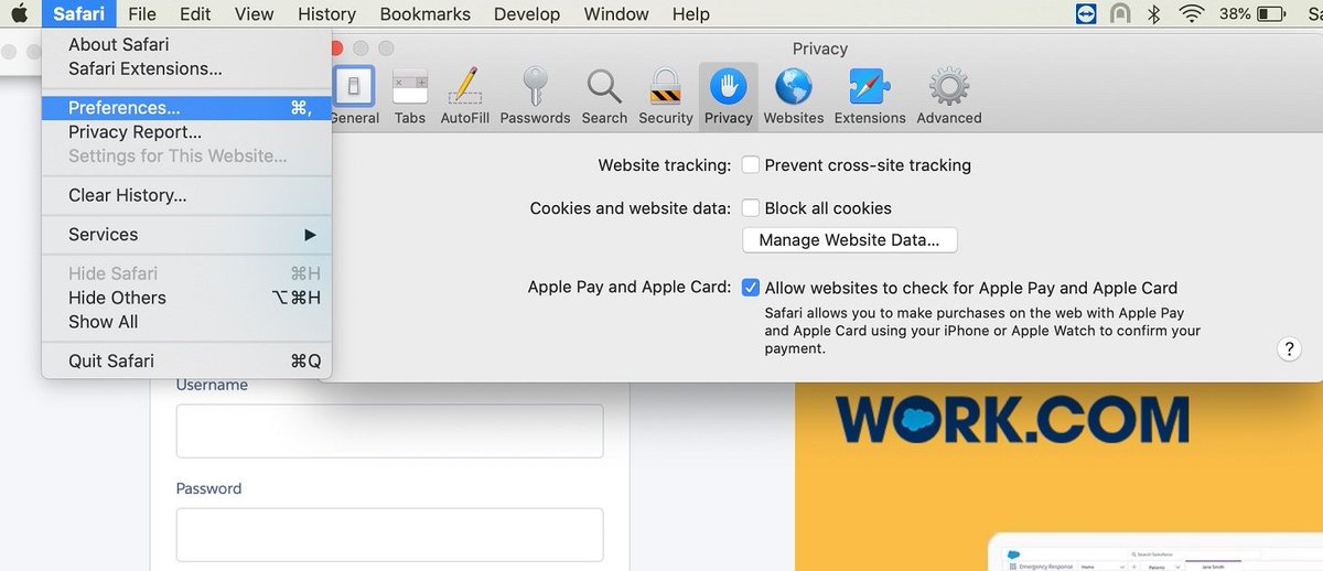 greytrix's tweet image. Are you looking out for ways to use GUMU™ integration solution on a Safari browser for Salesforce? Click to know more. bit.ly/36bbQBa 
#Salesforce #GUMU #LightningInterface #Integration #AppleSafari #Quotes #SalesOrder #CrossSiteTracking #SalesforceCRM #ERP #CRM