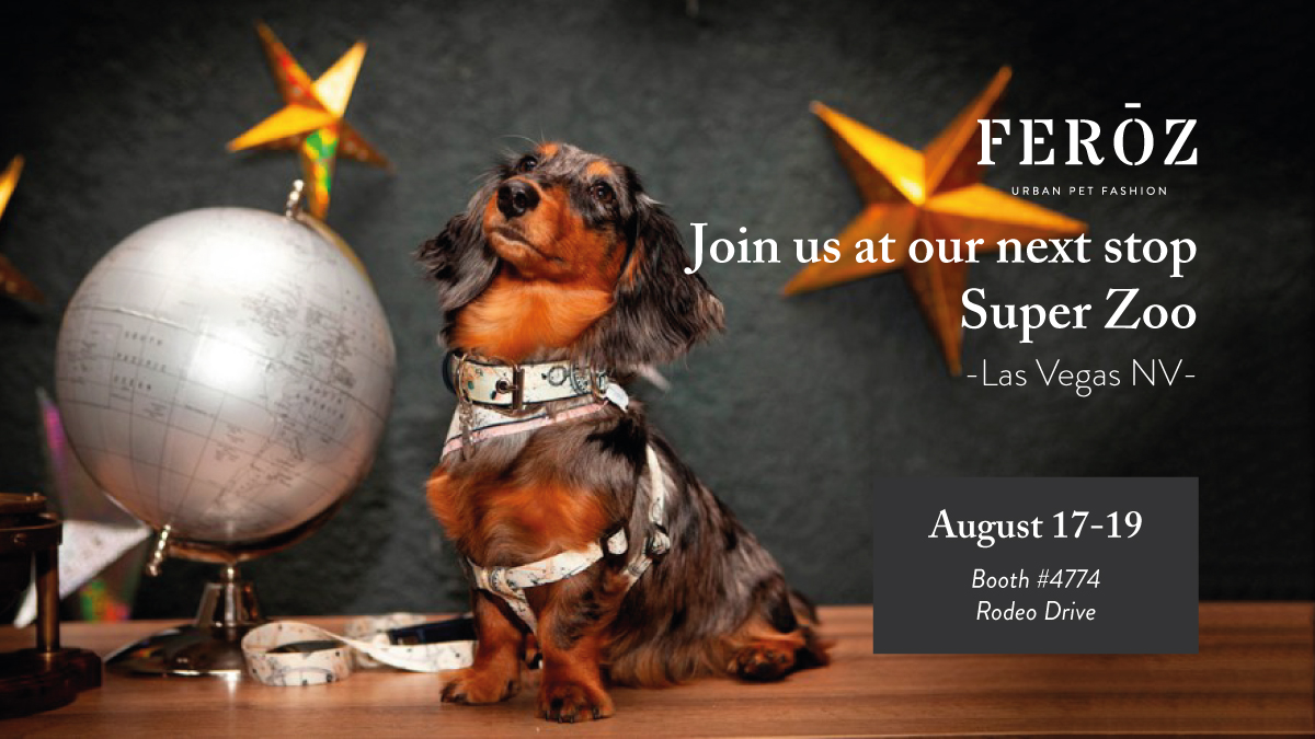 FerozPetFashion's tweet photo. Come and say hello to us at #SuperZoo 2021
and pamper your #pawfriend with our brand new products; our Astral collection it’s on fire. Mandalay Bay, Rodeo Drive-Booth 4774 https://t.co/Tx5HkcUEzA