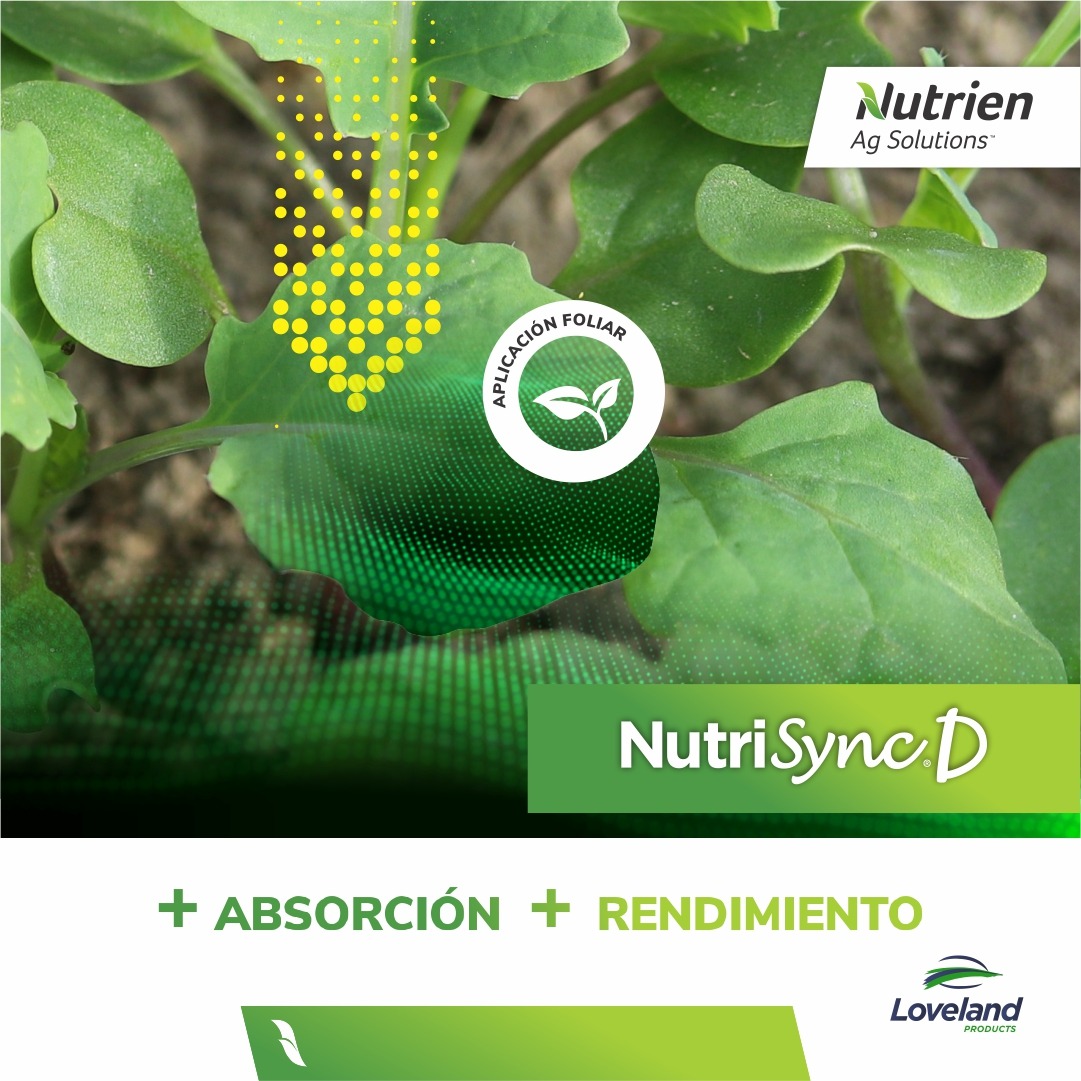 NutrienUruguay's tweet photo. NUTRISYNC® D está especialmente diseñado para aplicación foliar.
👉 La tecnología del Inositol aumenta la removilización de los nutrientes de la planta, mejorando la nutrición general del cultivo.
Por más info, consultanos.
#Nutrisync #Nutrientes #Cultivo #Colza #LideraTuCampo https://t.co/rfKeswTAi9