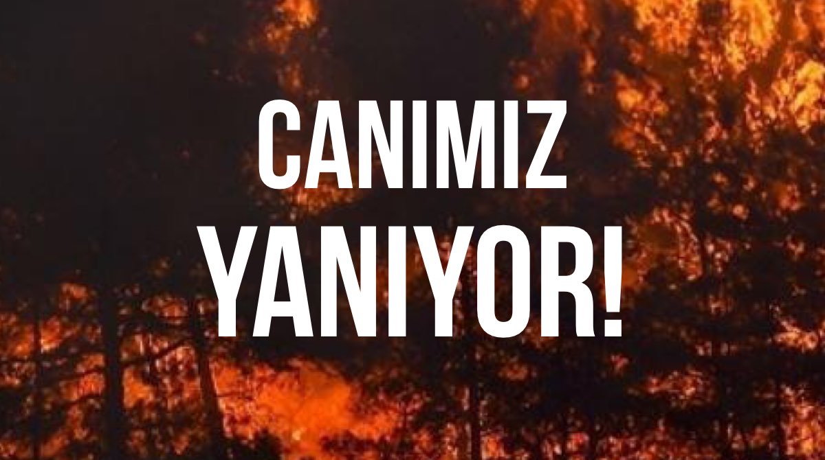 Antalya'nın ateşi sönmeden yakın bölgelerden de yangın haberleri almanın üzüntüsünü yaşıyoruz. Adana, Osmaniye, Mersin, Kayseri, Konya, Karaman ve Kütahya'nın ardından Muğla'dan da acı haberler gelmeye başladı.