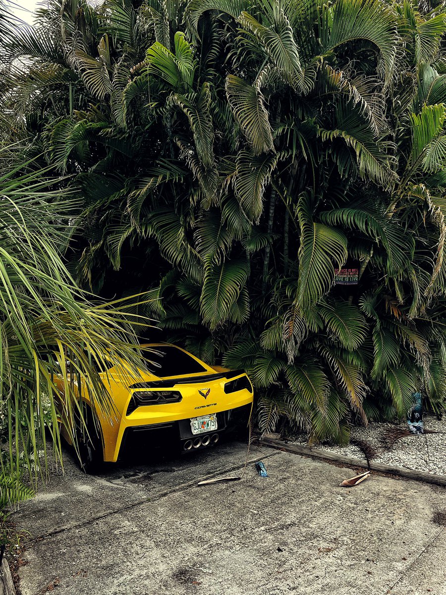 #shotoniphone in #florida