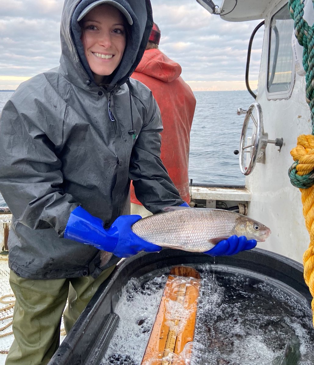 The second talk of the hour, presented by Courtney Harrison, is titled: "Field and Laboratory-Based Experiments Provide Evidence That Carnobacterium Infections May Be A Factor In Poor Lake Whitefish (Coregonus clupeaformis) Recruitment In The Great Lakes"