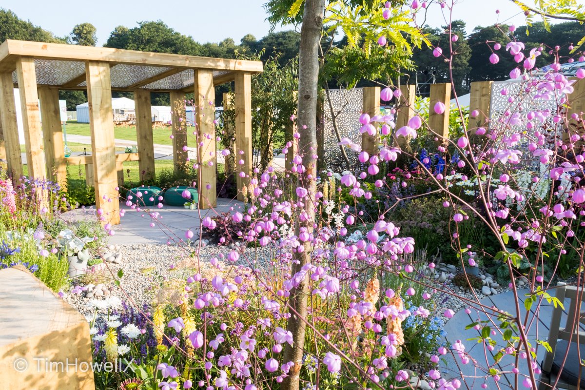 TimHowellX's tweet photo. #Top20Highlights of #RHSTatton #Highlight 04 such beautiful planting,exquisite design,superb build,there are not enough superlatives in the English language to describe @OuterSpacesGD so I just call her the "Queen of Tatton". She even has an award from me to recognise it. https://t.co/mkMz6xAr9O