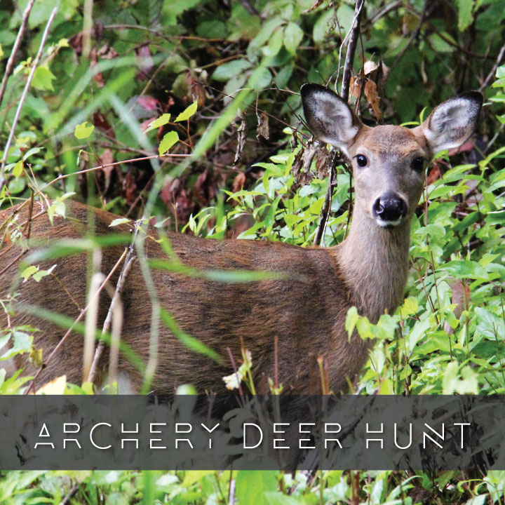 Anoka County Parks on Twitter "Hunt close to home. Applications are