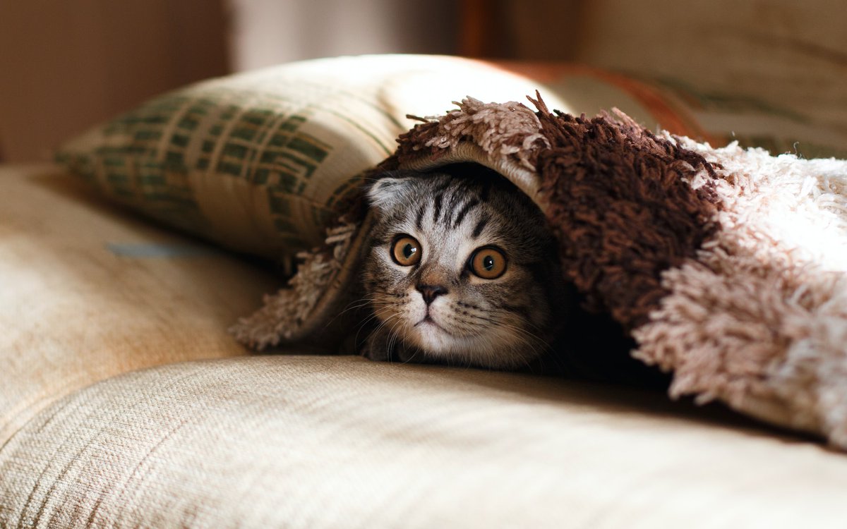 Stop hiding. 

Customers won't find you if you hidden away.

Our free, friendly and fun networking helps small businesses get found.

#elevenseshour #uksmallbiz