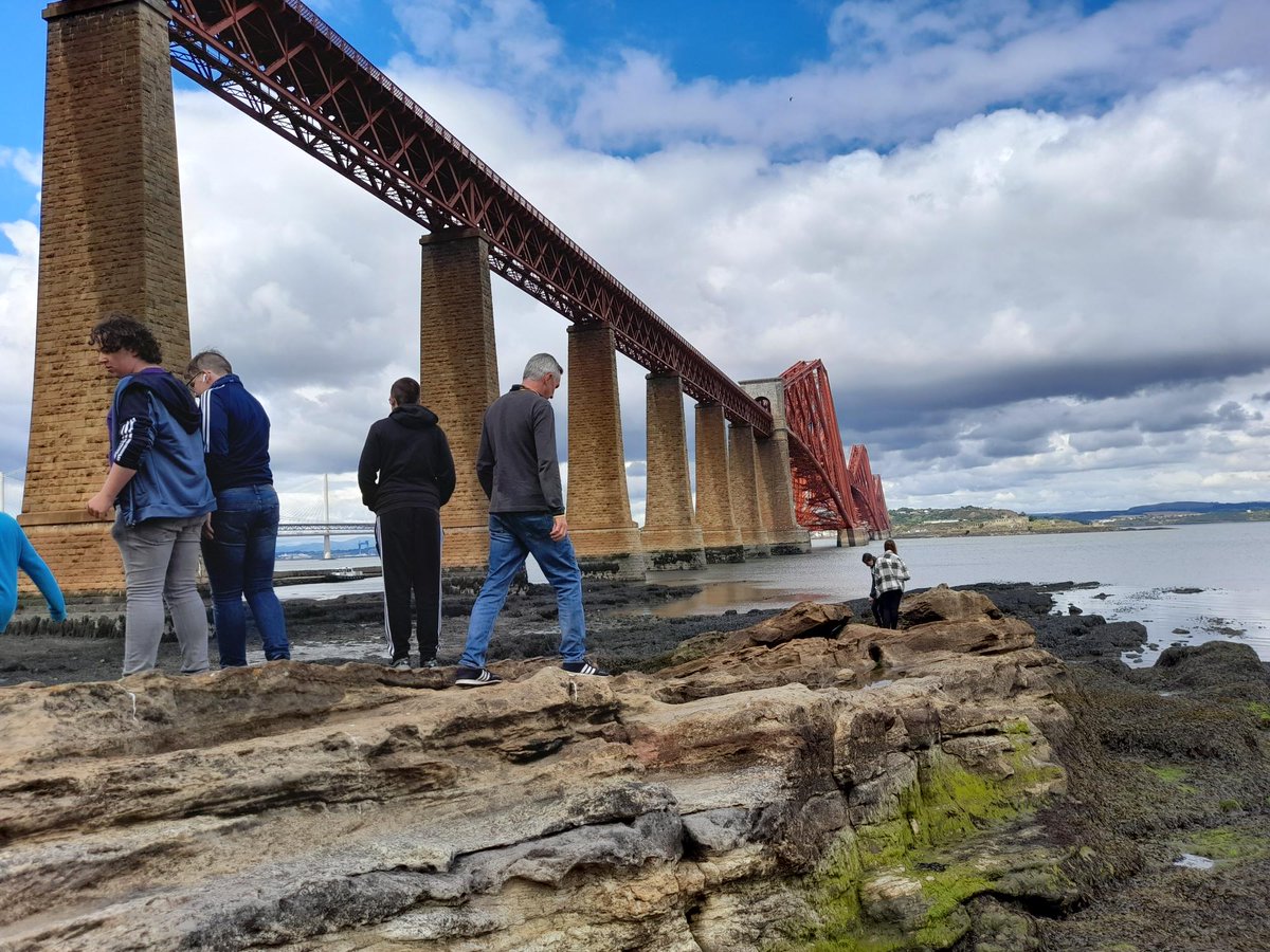 BraesTransitions tweet media