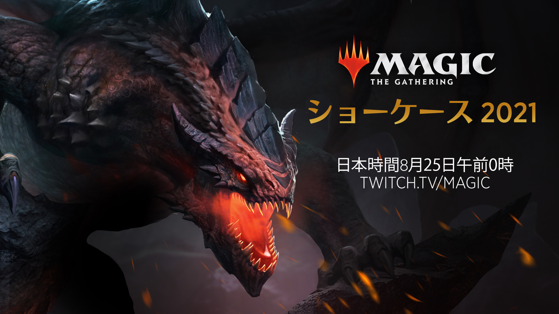 Amazon.co.jp: マジック:ザ・ギャザリング スターターキット2022