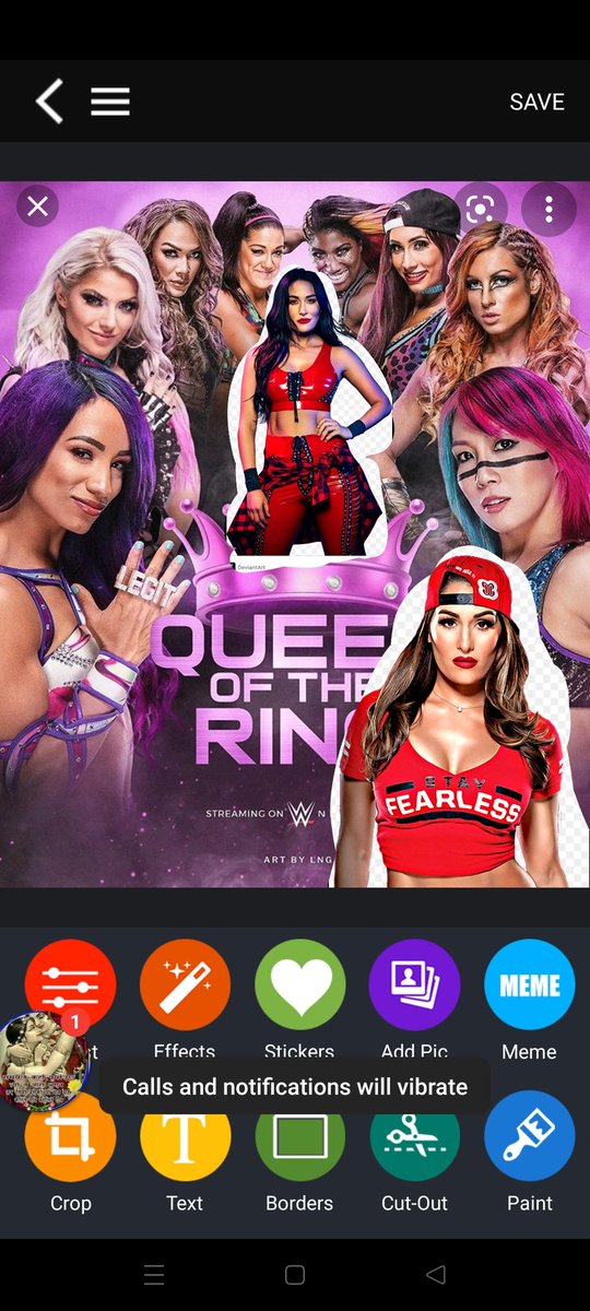 I think there should be a WWE Queen Of The Ring Tournament I hope they bring Back Brie Bella and Nikki Bella For This Event And Even Alundra Blayze Trish stratus https://t.co/fZKBW3l1hW