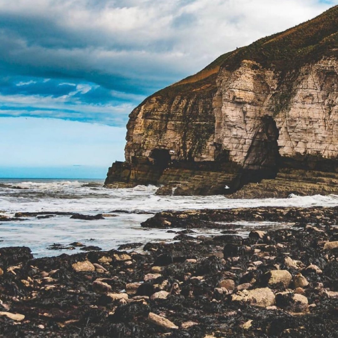 LateCottages tweet media