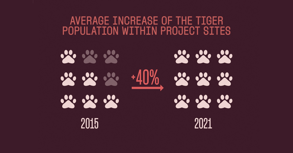 Good news for #InternationalTigerDay as the tiger population grew from 770 individuals to 966 between 2015 and 2021 across IUCN project sites.

Read the new IUCN #Tiger Programme 2015-2021 impact report ow.ly/T5cI50FGdAu <a href="/IUCNsos/">IUCN Save Our Species</a>