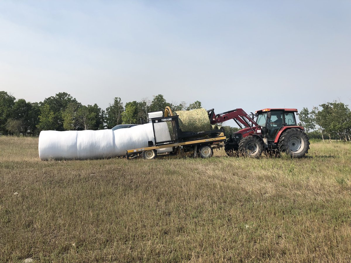 Lundar Ag Society volunteers are back in action… Oats and Barley mix silage bales. Once feed test is done tenders will be out. Decent crop, it seen a bit of moisture this summer. #agproud #cowfeed