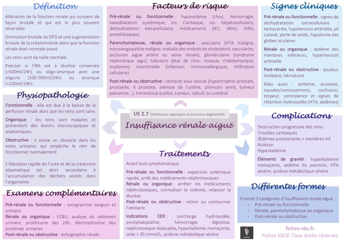 FichesIDE's tweet photo. Aujourd'hui on révise l'insuffisance rénale aiguë ! https://t.co/7wUhD3GRMV #ifsi #esi #etudiantinfirmier #etudianteinfirmiere #infirmier #infirmiere #ficheside https://t.co/jhMGshNDwe