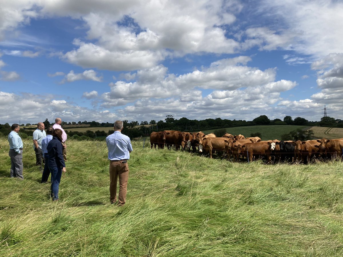 EmmaSteele1995's tweet photo. Cracking day on farm with @PerkinsLodge introducing new @TheAHDB CEO @Tim_J_Rycroft to the @AHDB_BeefLamb strategic farms and discussing progress over the last 4 years. Also joined by chair Nicholas Saphir and interim CEO Ken Boyns. #farmexcellence #strategicfarm #monitorfarm https://t.co/BGygfGy08N