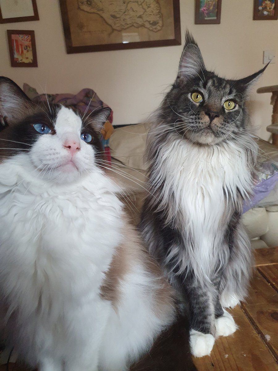 Hooman managed to get a nice pic of the 2 of us. What you think?