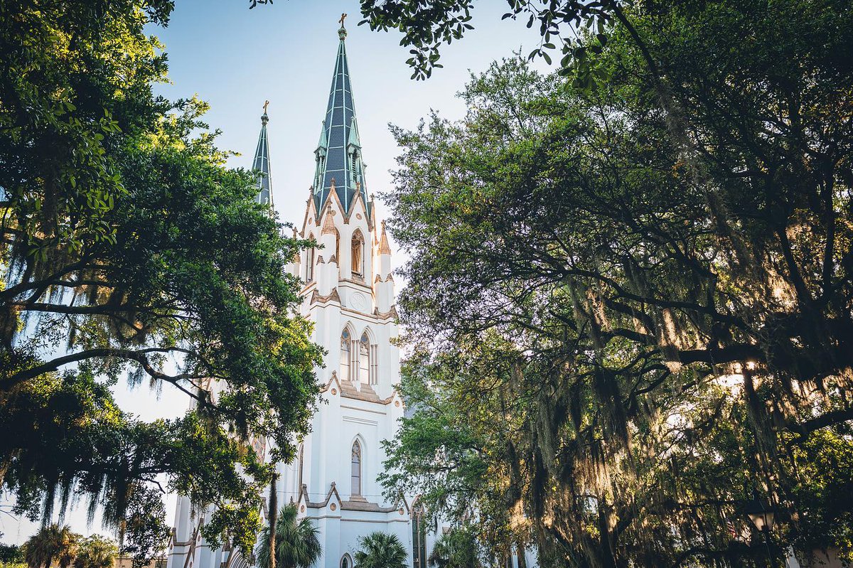 Vote for #Savannah NOW in <a href="/Southern_Living/">Southern Living</a>'s 2021 South's Best Awards! bit.ly/36MdKXR [📸  <a href="/tcrock38/">Tom</a> via Instagram]