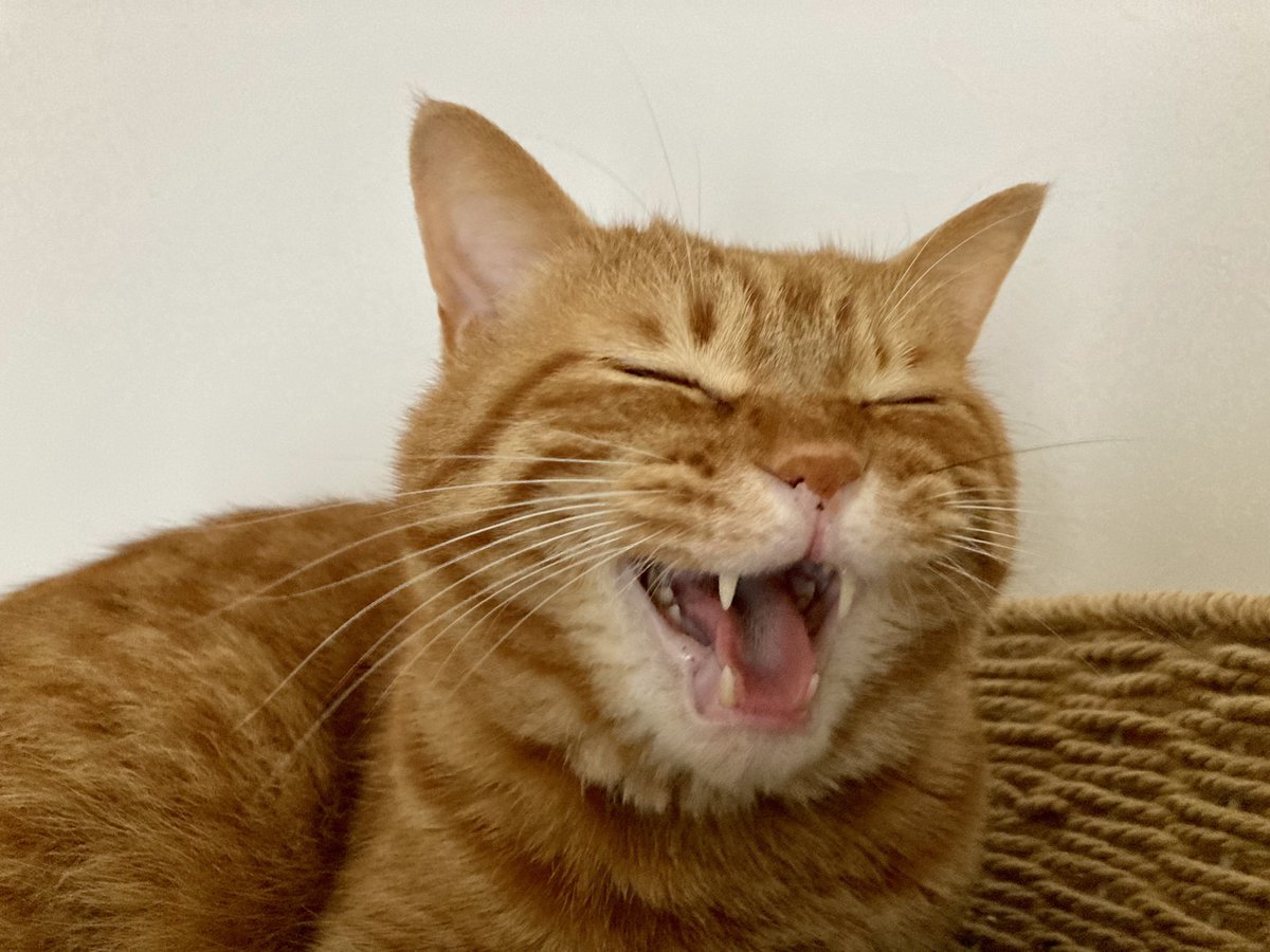 Xrh4aegqirhfum Xrh4aegqirhfum