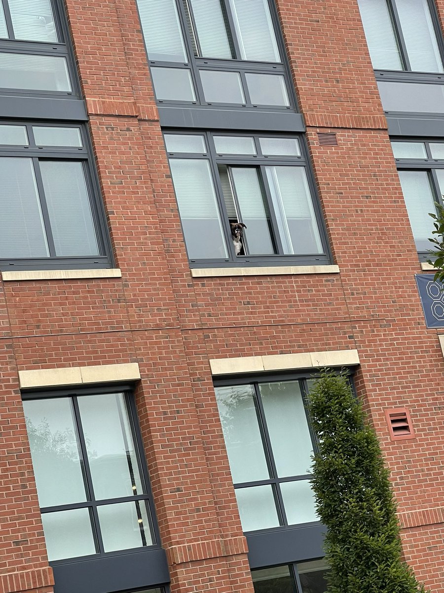 Coach Aaron tweet media