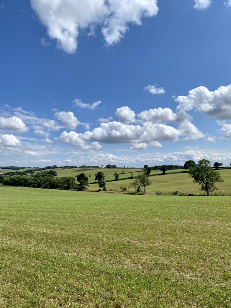 ed_trotter1's tweet photo. Not a bad view for sampling soils for our detailed audit analysis. #soils #testing #albretch #nutrientbalance @EdaphosAgronomy https://t.co/l3maXIrH0X