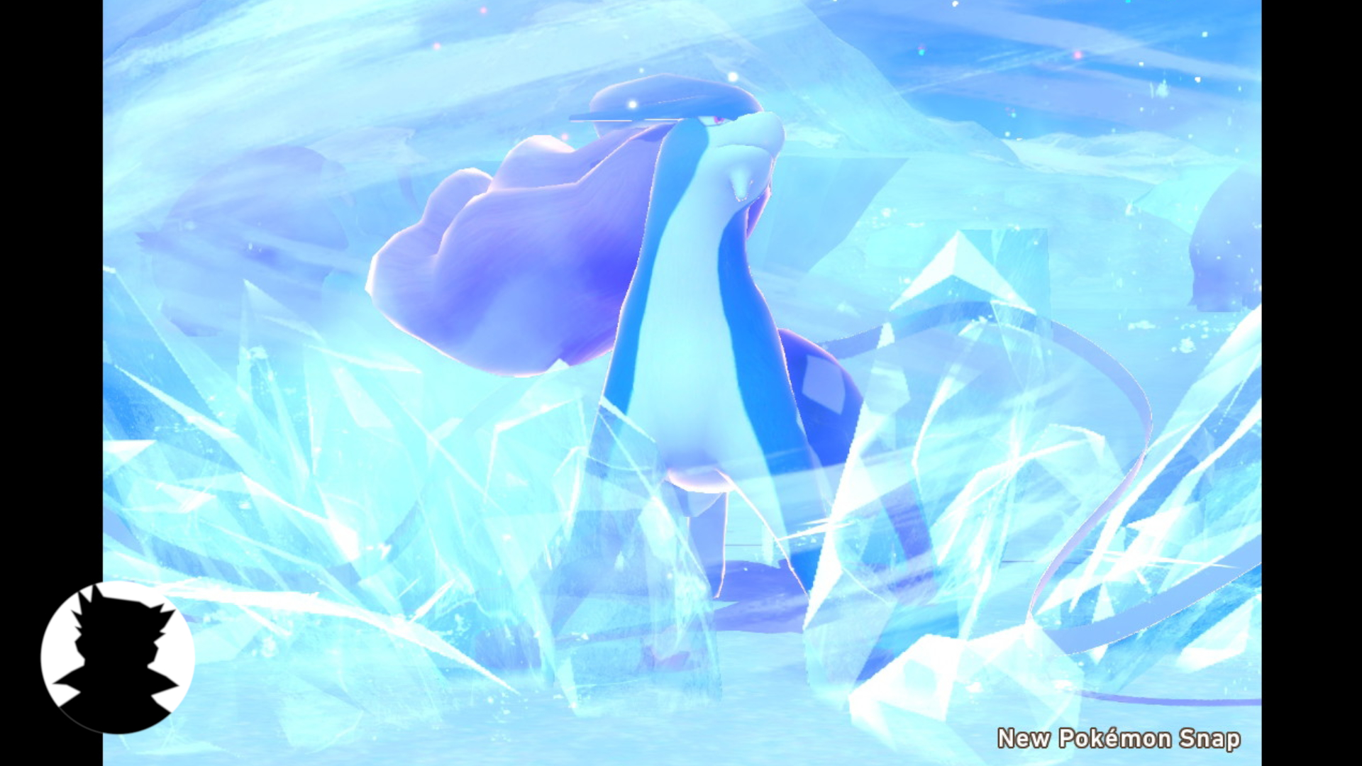 オオキド研究所 スイクン 雪原の伝説ポケモン New ポケモンスナップ 雪原 夜 リサーチ T Co Zz40ouoynu ポケモンスナップ ポケモン T Co 1xt6jcdhc2 Twitter