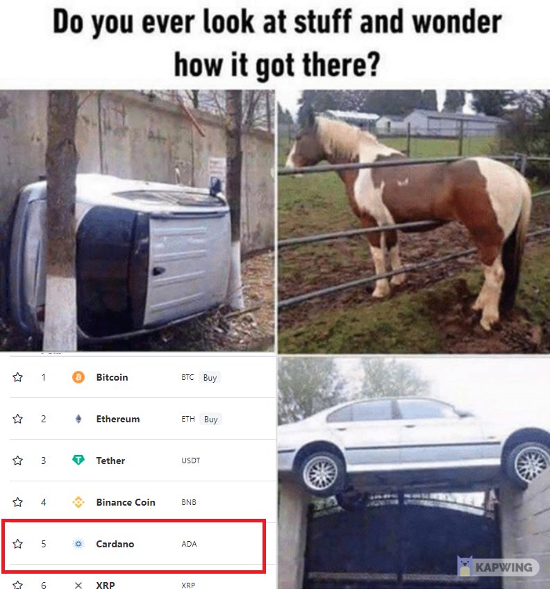 CryptoWizardd's tweet photo. Sorry this was Just to funny

No hate

$ada 🤣🤣 https://t.co/AxmUdG7F8H