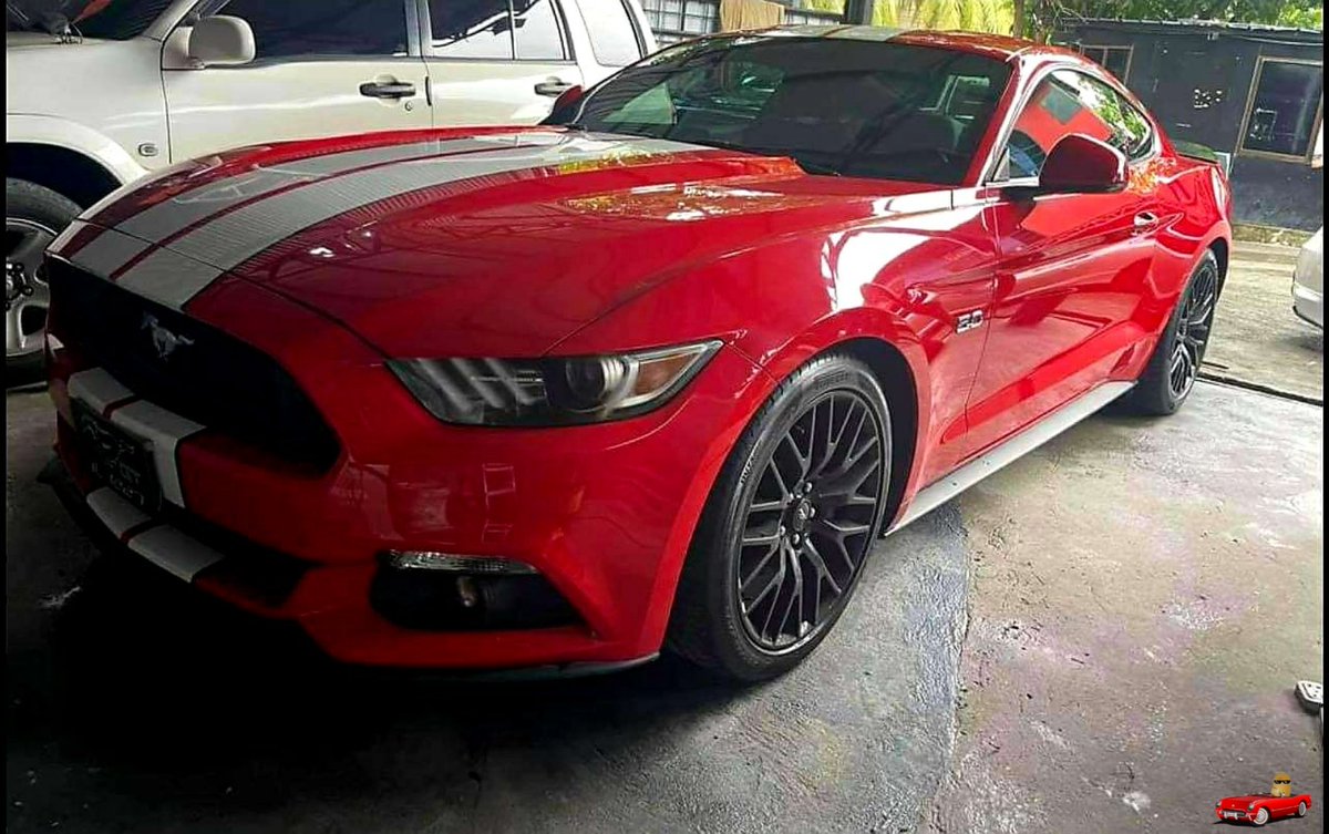 potatocars_'s tweet photo. Ford Mustang GT 5.0 (2016) https://t.co/AEEQ0nvfHA