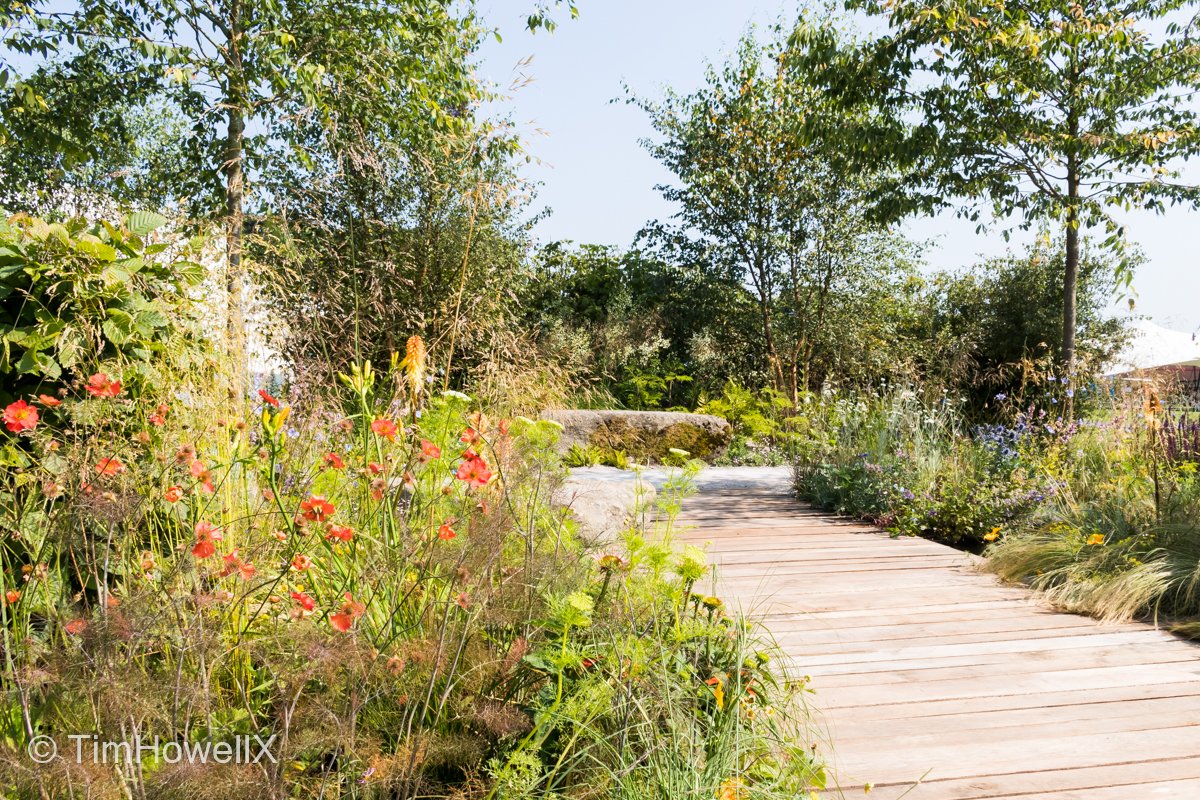 TimHowellX's tweet photo. #Top20Highlights of #RHSTatton #Highlight 06 Early morning or late afternoon the RHS Flower Power Garden always had a wonderful glow, as does its designer @Anca_ElenaP. Built by @Landstruction plants @BernhardsPlants stone @CEDStoneGroup &amp; @_LONDONSTONE hedging @bighedgecompany https://t.co/LBA7PWSEj0