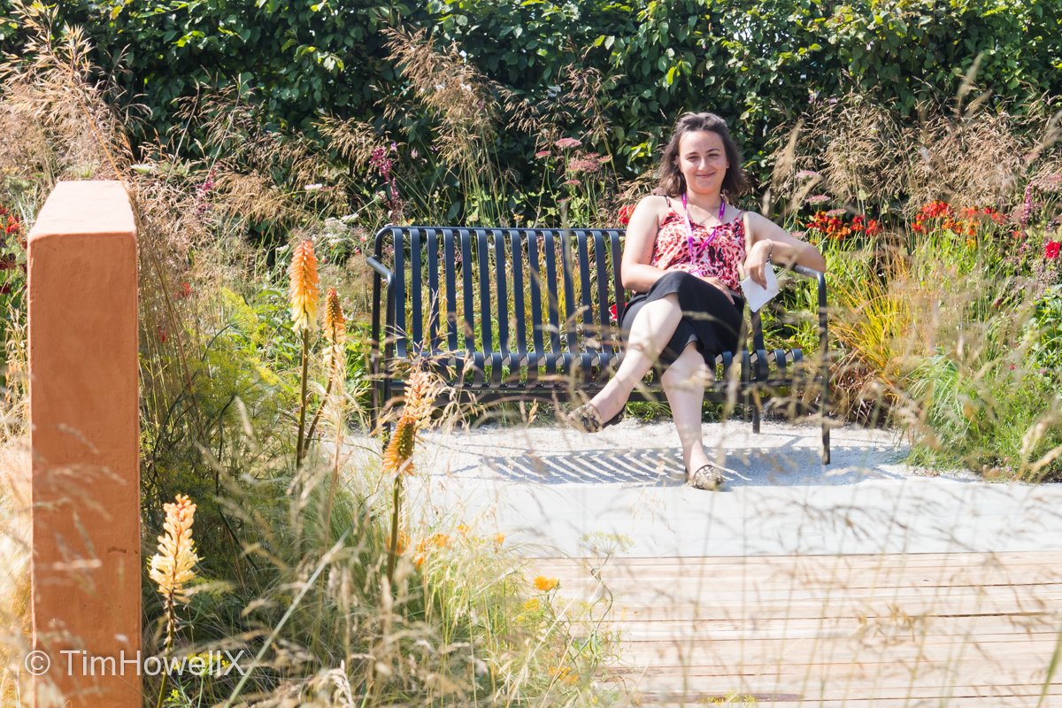 #Top20Highlights of #RHSTatton #Highlight 06 Early morning or late afternoon the RHS Flower Power Garden always had a wonderful glow, as does its designer <a href="/Anca_ElenaP/">Anca-Elena Panait</a>. Built by <a href="/Landstruction/">Landstruction</a> plants <a href="/BernhardsPlants/">BernhardsNurseries</a> stone <a href="/CEDStoneGroup/">CED Stone Group</a> &amp; <a href="/_LONDONSTONE/">London Stone</a> hedging <a href="/bighedgecompany/">Big Hedge Co.</a>