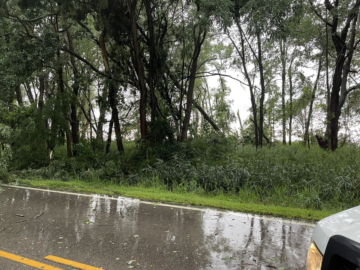 CraigWebb68's tweet photo. @wews Trees and limbs down in North Kingsville. https://t.co/xUOL9Kdp9E
