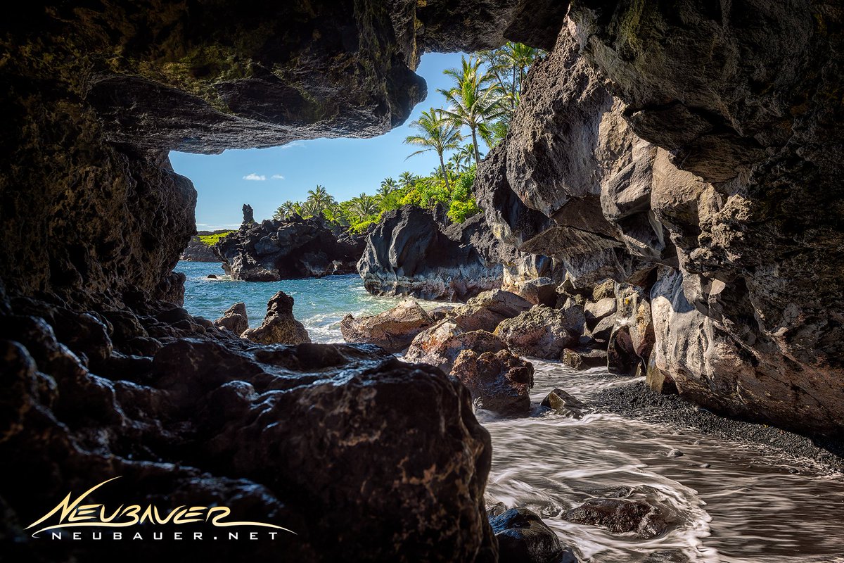 Mike Neubauer tweet media