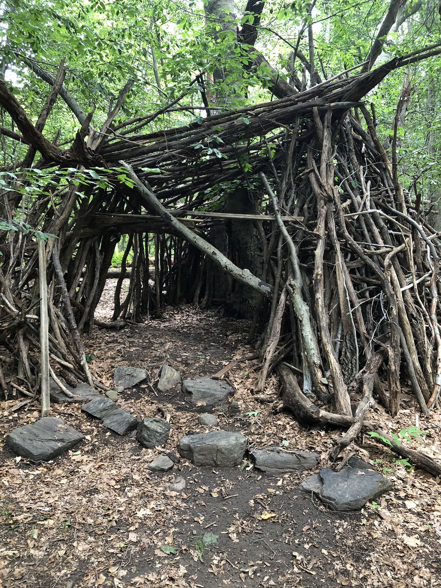 T.C. Boyle tweet media