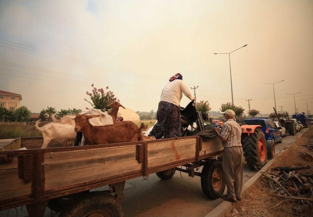 Vatandaşlar evlerini, emeklerini geride bırakıp bölgeyi terk ediyor.
ALLAH BELANIZI VERSİN 

#manavgatyanıyor 
#Adana yanıyor
#Osmaniye yanıyor
#marmaris yanıyor
#Mersin yanıyor
#Kozan yanıyor
#Muğla yanıyor
#Didim yanıyor
#Kütahya yanıyor
#Kocaeli 
#PKKyaktı
#alanya
#Kilis