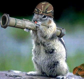 YouMakeMeCrafty's tweet photo. @ForRover THE SQUIRREL ARMY! https://t.co/GJghgUG06C