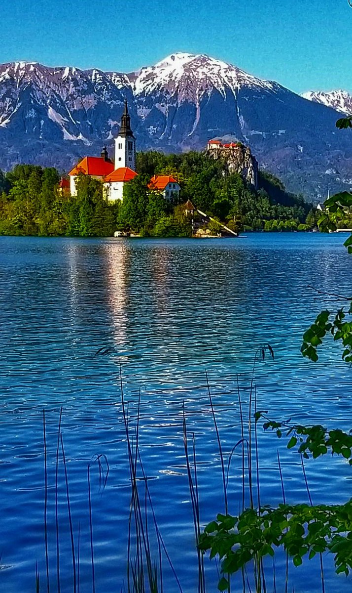 sathr21's tweet photo. Medieval Bled Castle (#BlejskiGrad) perched on a steep cliff abve #LakeBled
#Franciscanmonastery on a small island.foreground
#JulianAlps in the bck ground(Rising to a majestic 9000 ft abve the uniquely beautiful #vintgargorge) must do
#blejskigrad
Sat'pic https://t.co/i6QQ6hASGW