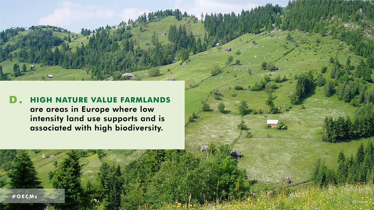 WCSocean's tweet photo. Together with protected areas — from Malaysia’s Taman Negara National Park to the Cerbère-Banyuls Marine Reserve in southern France — #OECMs could advance outcomes and targets for global #biodiversity goals.

Learn more about potential OECMs from around the world: https://t.co/y9lrQOpoem