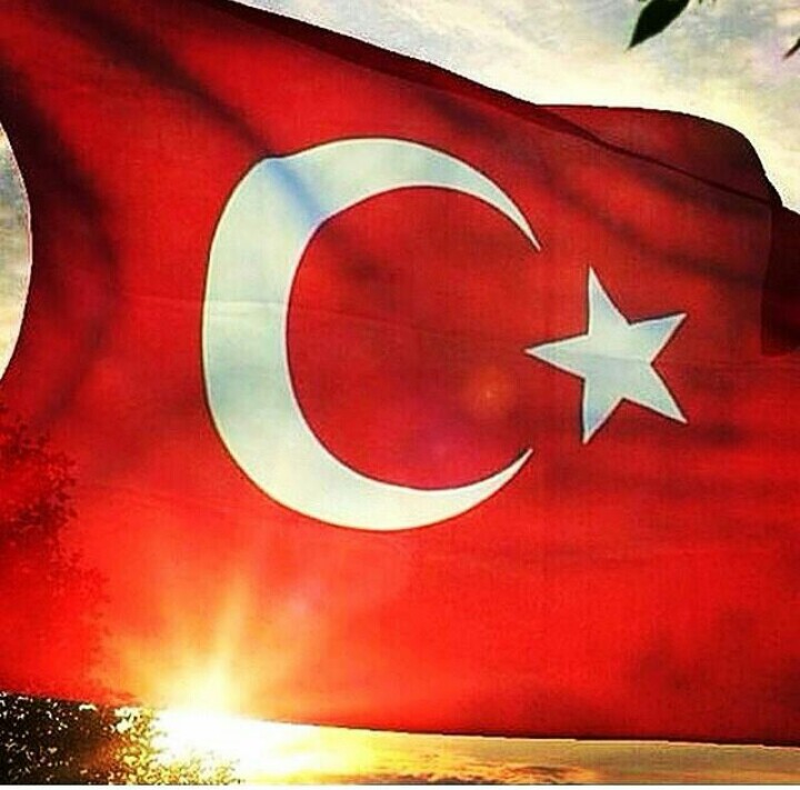 Asla vaz geçmeyeceğim son nefesime yada kanımın son damlasına kadar! 

Ne mutlu Türküm diyene...