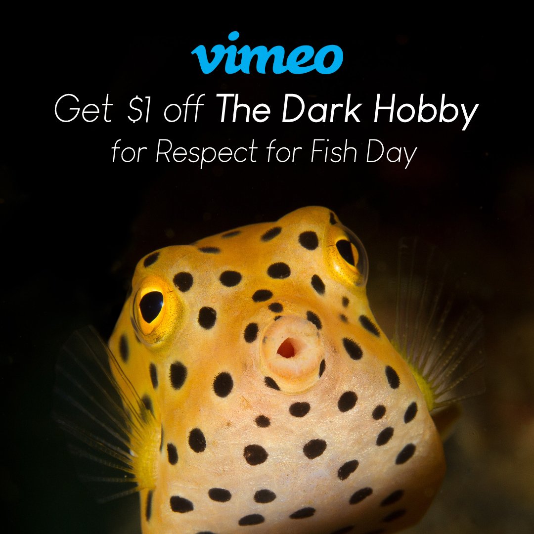 Aquariums: The Dark Hobby tweet media