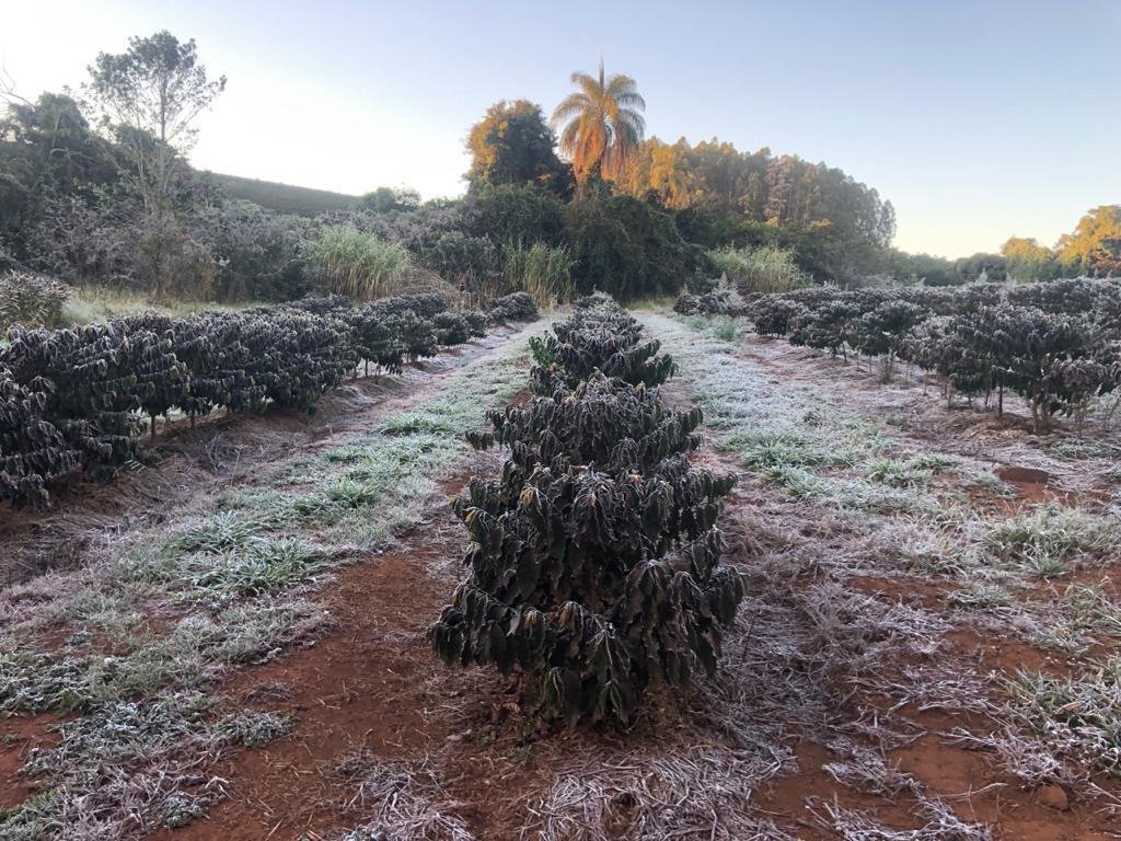 Specialty Coffee Association tweet media