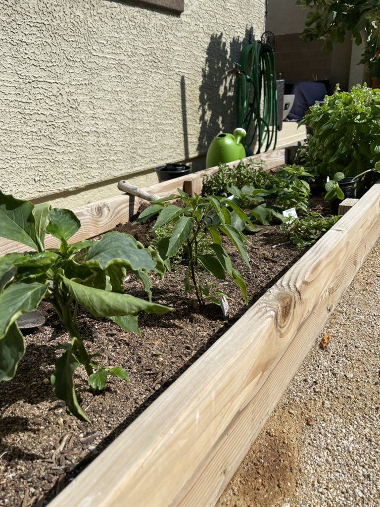 I’ve spent every morning since we’ve moved into our new house in my garden and I’m not even sure who I am anymore.