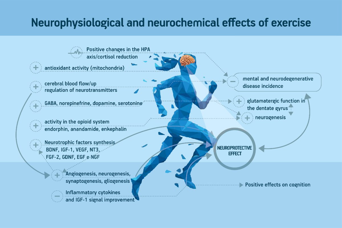 Born to move: a review on the impact of physical exercise on brain health and the evidence from human controlled trials 

👀👀👇👇

pubmed.ncbi.nlm.nih.gov/34320058/