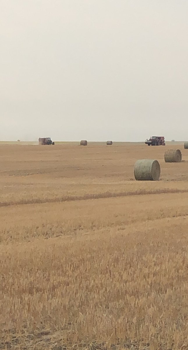 Not a good year when growers r bailing instead of thrashing #Drought21
